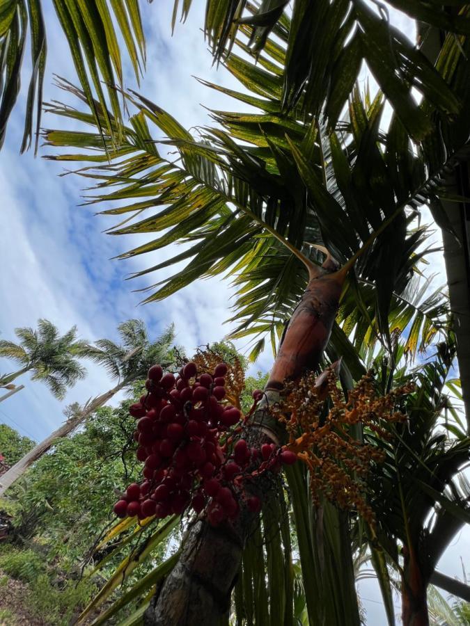 Вилла Hawaii Getaway Холуалоа Экстерьер фото
